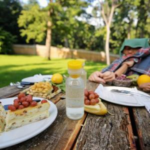 Press-Out Lemon Honey Water Bottle with Fresh Lemon Layer
