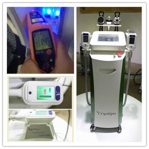 Two handles Cryolipolysis Fat Freezing Machine Cryolipolysis Slimming Machin2