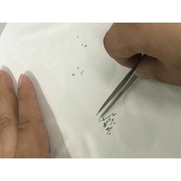 Quality Medical device micro machining for OEM contract manufacturing wholesale