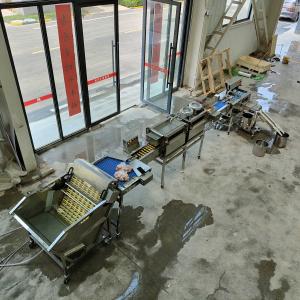 Egg Knocking Machine Production Line Efficient And Hygienic Egg Processing