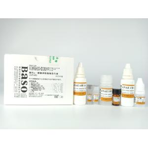 China α-Naphthyl Acetate Esterase (α-NAE) Stain Baso Clear Colourful Stains on sale