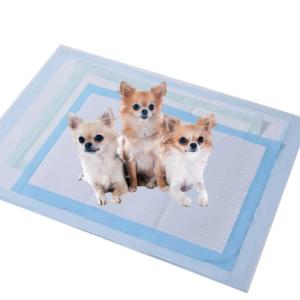 Disposable Pet Training Pads Waterproof Puppy Cat Pee Training Pads