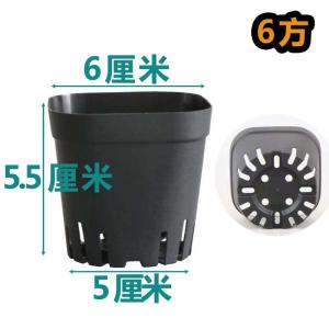 Series 11 Plstic flower pots square black