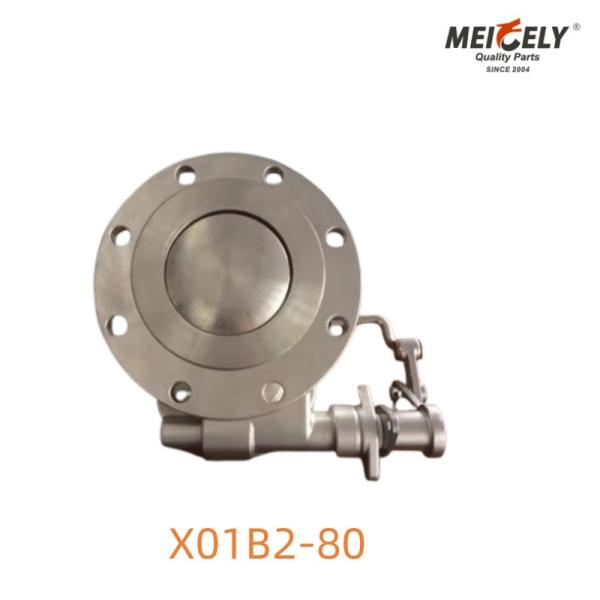 X01B2-80 Cleanflow Foot Valve Ultra Hygienic Solution For Tank Truck Operations