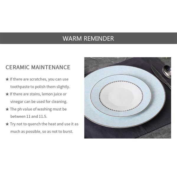 13" 33cm Bone China Dinnerware Set