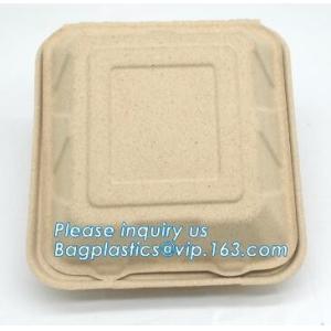 Plate Compostable Wheat Straw Fiber, Wheat Straw Dumpling Plate, Wheat straw eco