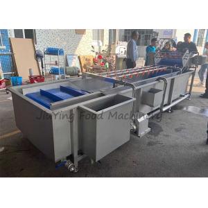 Air Bubble Type Vegetable Fruit Washing Machine 1.5T/H With Spraying Nozzels