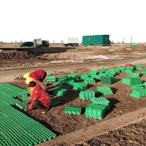 Cheap HDPE Black Green White Plastic Planting Grass Paver Grid for Parking Lot and Driveway for sale