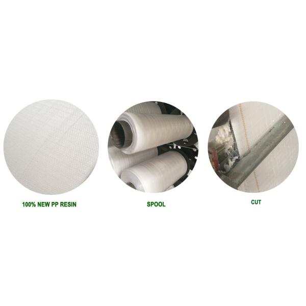 White PP Woven Bag Roll UV Coated PP Woven Sack Roll