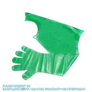 Disposable PE Long Gloves VET Clinic Long Gloves With And Without Shoulder