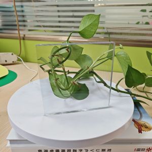 Plastic Polycarbonate Sheet Known for High Tensile Strength and Durability