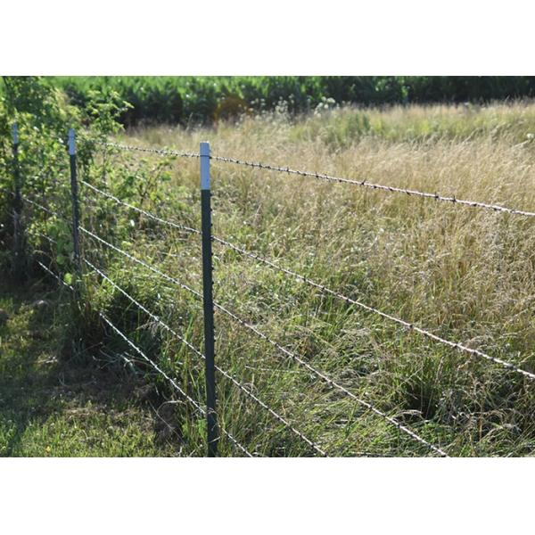 Quality Rust Resistance PVC Coated /Galvanized Barbed Wire Coils Fence wholesale