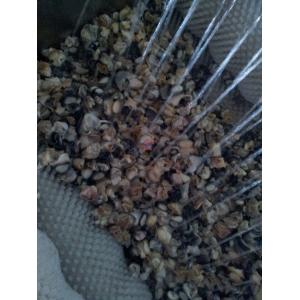 Root Vegetable Potato Washing And Peeling Machine With Wheels Convenient