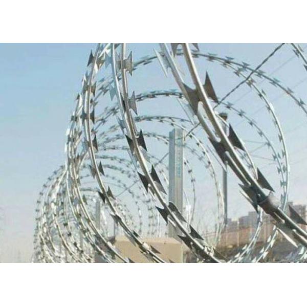 Quality Q235 PVC Razor Barbed Concertina Wire Coil High Security wholesale