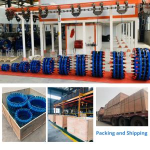 DN65-DN3200mm 1200mm 200mm Dismantling Joint C2f Valve Fittings Expansion