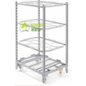 PU Wheel Q235 Display 1900mm Plywood Shelf CC Container