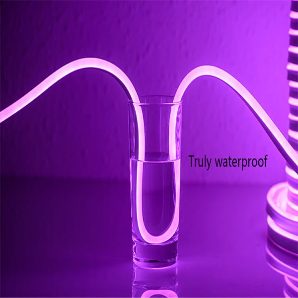 Quality Purple OEM Led Neon Tube Light Flex Rope 2.5cm Cutting Distance For Bar Home Lighting wholesale