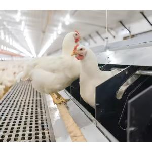 China Easy Pull Chicken Plastic Slat Floor , Poultry Plastic Slatted Floor on sale