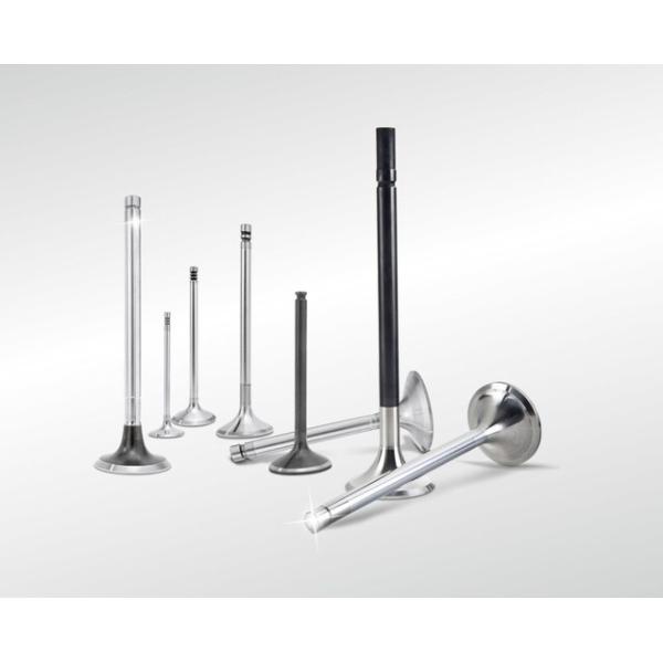 Quality FD35 FE6  Machinery Engine Valve For Car Engine Parts 13201-Z5501 13202-Z5502 wholesale