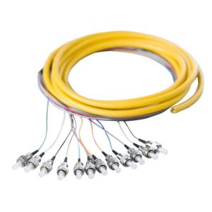 China Fiber Optic Pigtail 12 core trunk cable type pigtail on sale