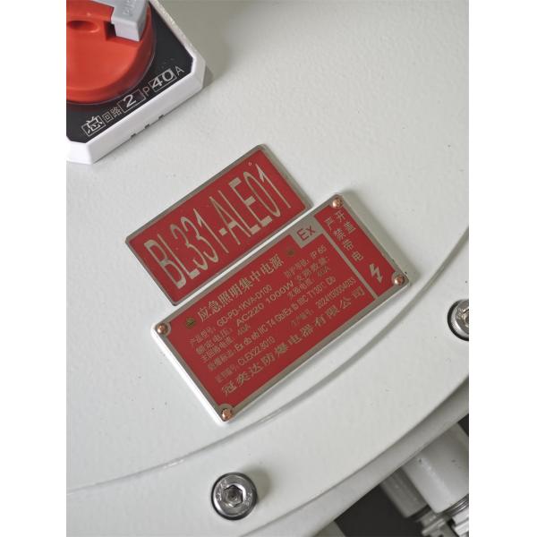 Explosion Proof Distribution Panels Industrial CNEX ATEX Approved Marine Grade Aluminum For Hazardous ZONE1 DIV1 Flameproof Emergency Lighting