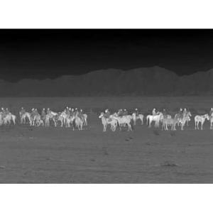 Guide TA435 Thermal Imaging Riflescope For Outdoor Observation And Aiming