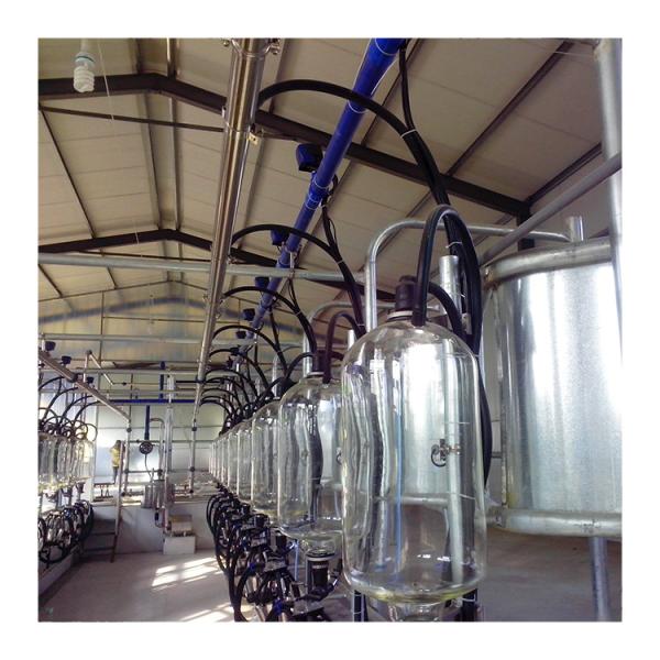 Quality SS304 Herringbone Milking Hall PVC pipeline Parallel Milking Parlor wholesale