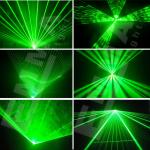 1W green 3D Animation Laser Light /Disco Laser Light/Stage Laser Light with SD