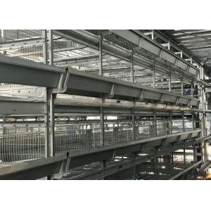 Cheap 5 Tiers Poultry Automation Equipment Customized Size ISO Certification for sale