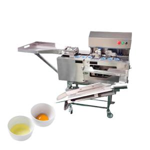 Automatic Egg Processing Machine Breaker & Yolk Separator 220V 304 Stainless