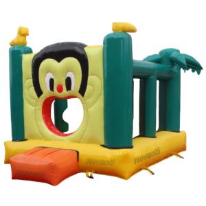 2024 Inflatable Playground Castle for Children Age Range 14 Years up Fun and