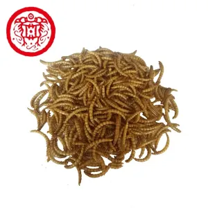 yee factory cost stock fish meal animal feed dry meal worm dry mealworm dried