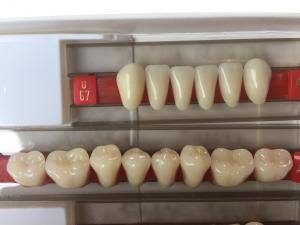 China Fake Resin Teeth Composite Resin Denture Teeth Top Hard  3 Layers on sale
