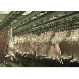 Goat Mutton Split Meat Production Line Slaughter Conveying Whole Processing Type
