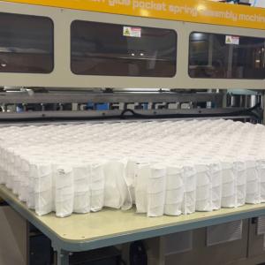 Factory Customization Environmentally Friendly Double Layer Pocket Spring Unit
