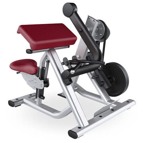 Quality Gym Seated Biceps Curl Machine With Adjustable Cushions Custom Color Available wholesale