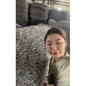 Triple Twist Low Carbon Steel Wire Gabion Basket 2*1*1m Easy to Install for
