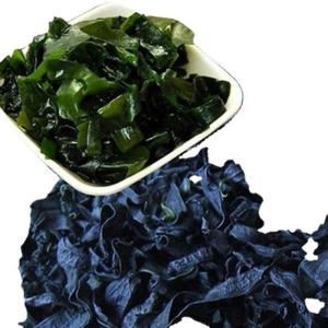 Cheap Storage Type Normal 500g Chuka Wakame Dried Seaweed Cut Wakame for sale