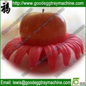 EPE/PE/Plastic pan foam tray for apple/pear/peach/orange/tomatoes packing