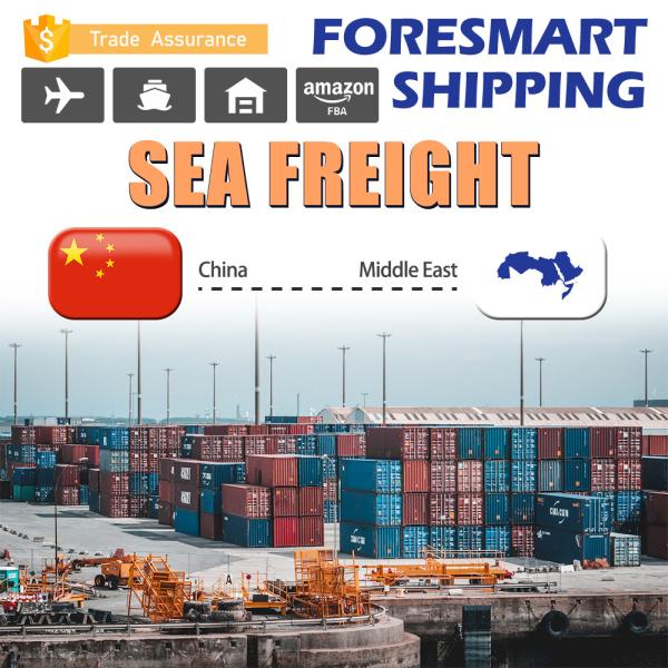 Quality Freight Forwarder China To Middle East FCL Sea Freight wholesale