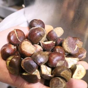 Economic Large Capacity Inshell Chestnut Sorting Machine With 8 Exits