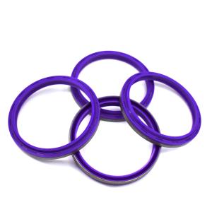 Dust Seal DKBI Hydraulic Cylinder Industrial Double-Lip oil Seal For Constructio