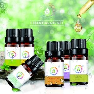 Natural Diffuser Aromatherapy Massage Oil Aroma Essential Oils Gift Set With 14