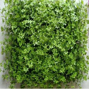 Cheap Use Artificial Wall Grass to Create A Comfortable And Natural Environment In Schools Hospitals Subway Stations And Airports for sale