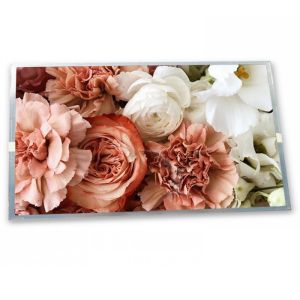 Nice Quality 7.0 Inch TX18D35VMOAPA Lcd Panel