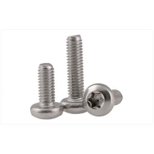 18-8 Stainless Steel Tamper Proof Torx Screws M3 With Right Hand Thread