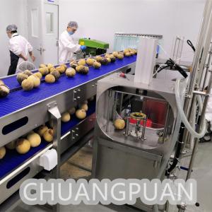 Cheap Versatile Stainless Steel 1-10T/H Water Extraction Young Coconut Cutting Machine for sale