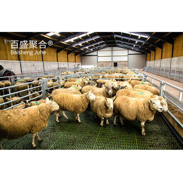 Customized C.Z Shape Steel Channel Purlin Metal Building for Sheep Shed and