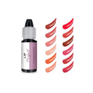 ODM Rapid Coloring Semi Permanent Makeup Pigments Eyebrow Cosmetics Ink