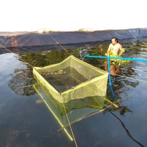 Waterproof Geomembrane HDPE Pond Liner for Shrimp Farming Easy to Install and